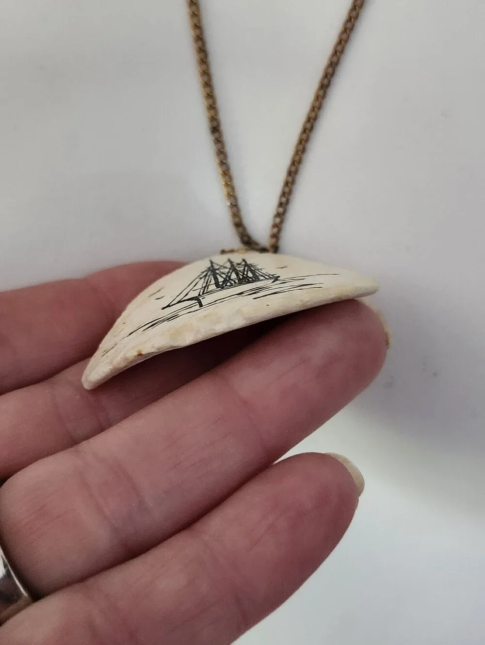 Handmade unique shell